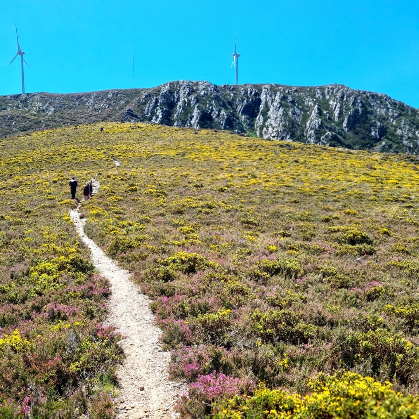 Montanhas Dentro - Imagem 4